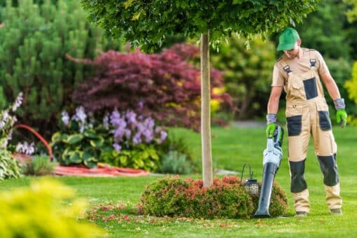 Jak efektywnie używać odkurzacza ogrodowego do liści w swoim ogrodzie